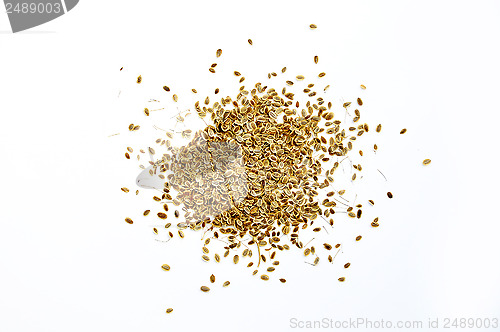 Image of handful of seeds of fennel on a white background. the isolated