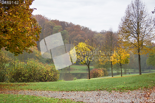 Image of autumn scenery