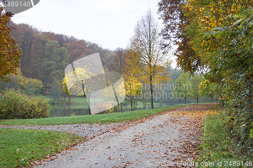 Image of autumn scenery