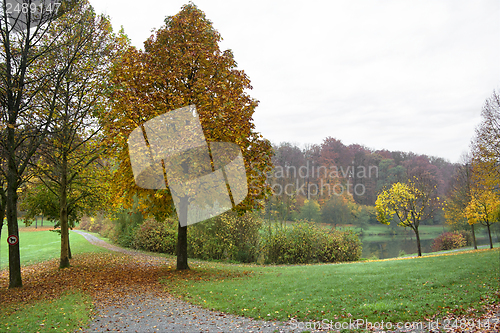 Image of autumn scenery