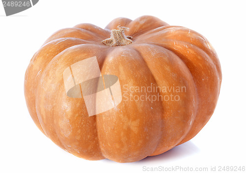 Image of pumpkin