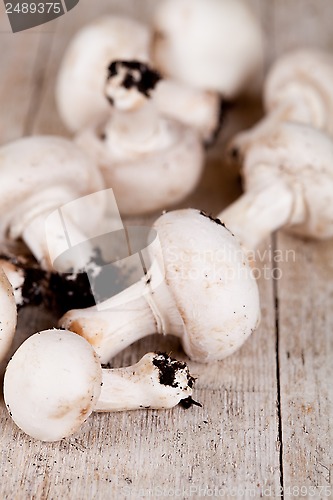 Image of  fresh champignons