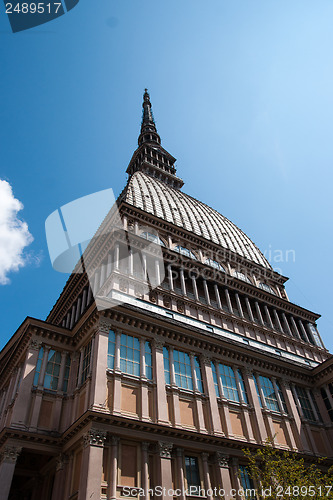 Image of Torino cinema museum tower