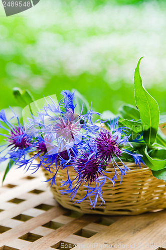 Image of Bunch of cornflowers in a wicker basket. Summer background