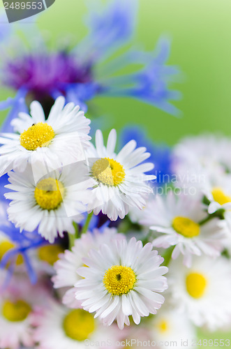 Image of Bouquet of daisies and cornflowers close-up