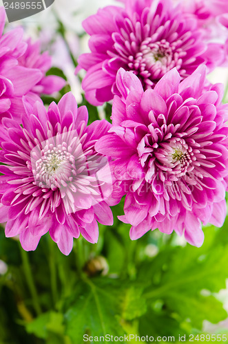 Image of Summer flowers bouquet, close-up  