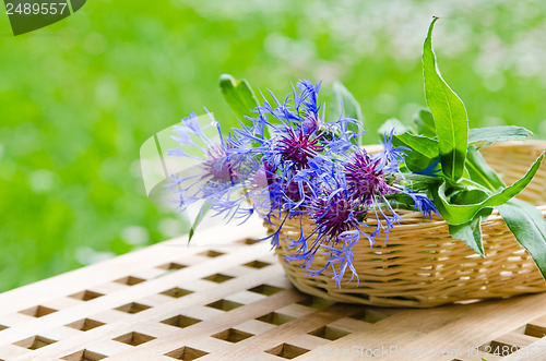 Image of Bunch of cornflowers in a wicker basket. Summer background