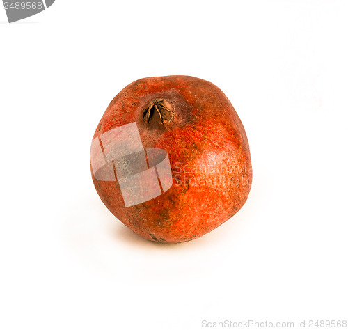 Image of Pomegranate