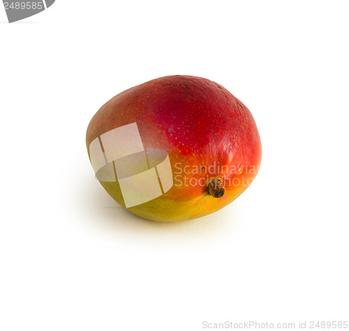 Image of Mango fruit