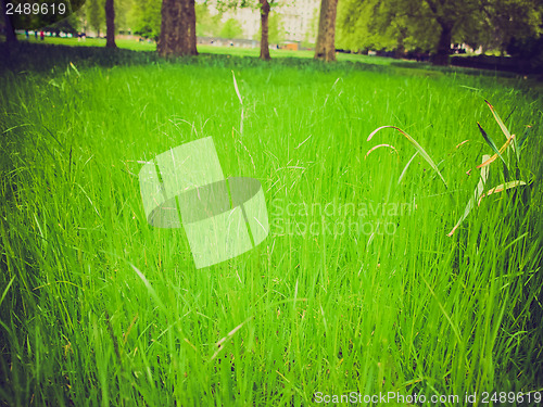 Image of Grass background