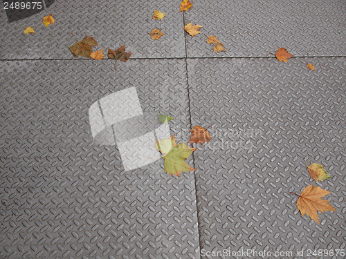 Image of Leaves on pavement