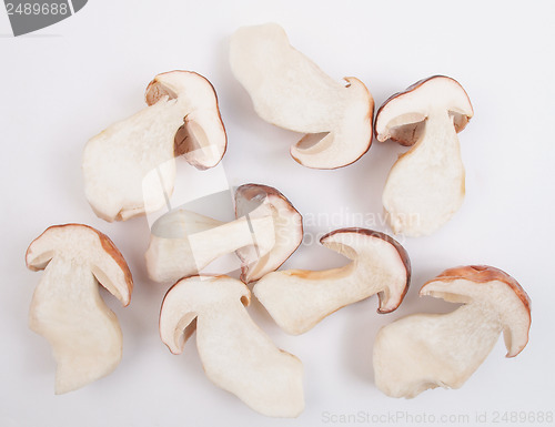 Image of Porcini Mushroom