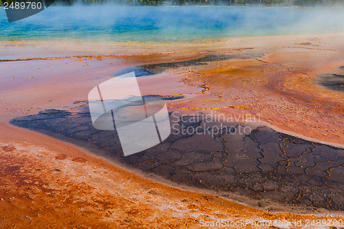 Image of Geothermal fields in Yellowstone National Park