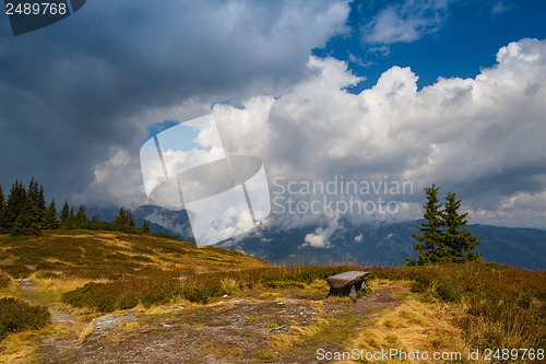 Image of Lonely empty wood bench on the mountain