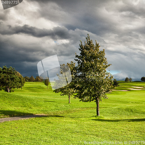 Image of Summer golf course at sunset