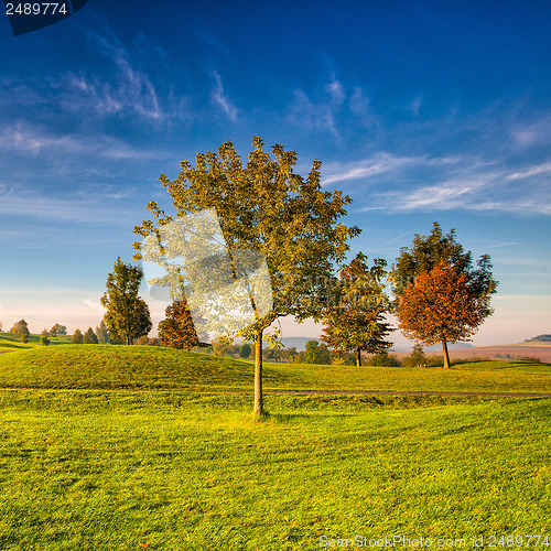 Image of Idyllic autumn scenery