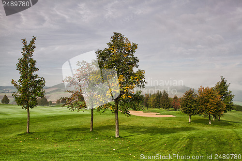 Image of On the golf course in the morning mist