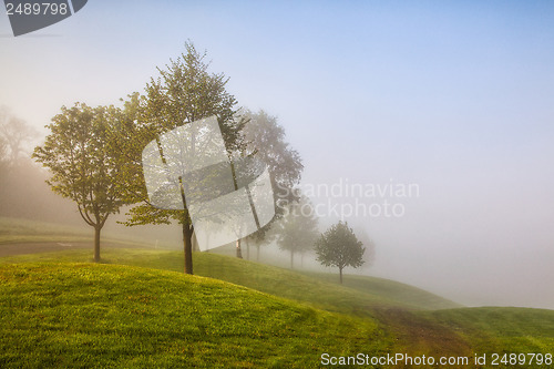 Image of In the morning mist on a golf course