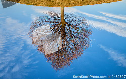 Image of Autumn heart - Lonely tree on the hill 