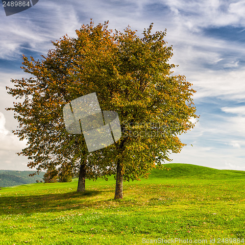 Image of Idyllic autumn scenery on the golf course