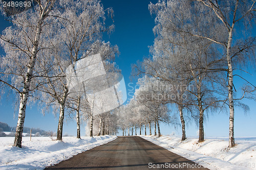 Image of Winter road in sunny day