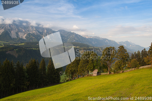 Image of On pasture in mountains