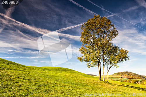 Image of Autumn golf course