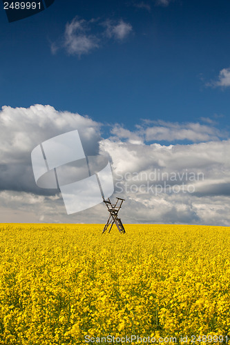 Image of Hunting tower on the rape field