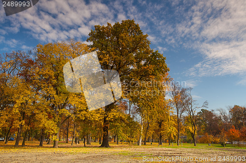 Image of Autumn in the popular park Stromovka in Prague