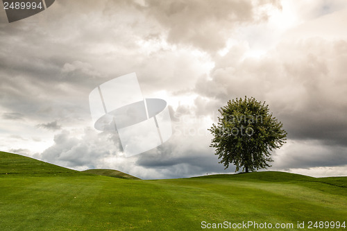 Image of On the golf course in the morning mist