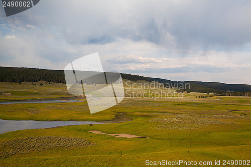 Image of Hayden Valley - landscape of American Bison