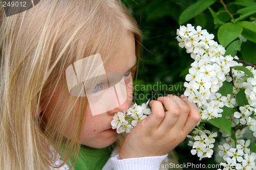 Image of Romantic portrait