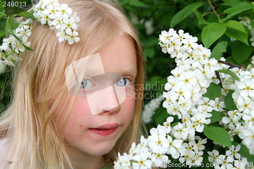 Image of Romantic portrait