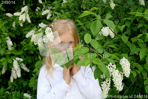 Image of Romantic portrait