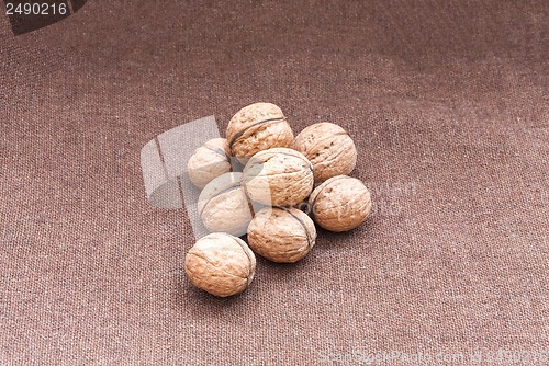 Image of walnuts close up on the burlap background