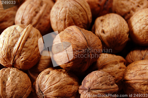 Image of Walnuts