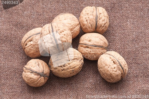 Image of walnuts close up on the burlap background