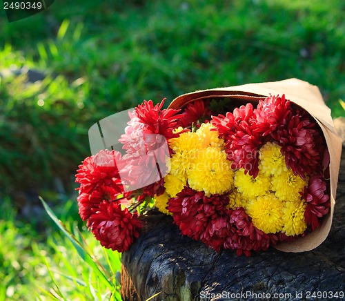 Image of bright bouquet of chrysanthemums is on the stump