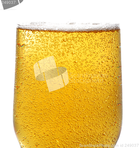 Image of Beer and bubbles