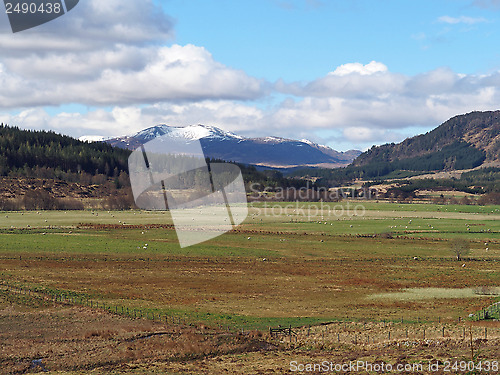 Image of Spey valley, west of Laggan, Scotland in spring