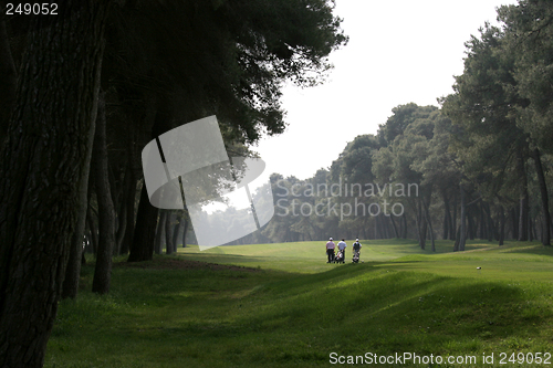 Image of Golf swing in riva dei tessali golf course, italy