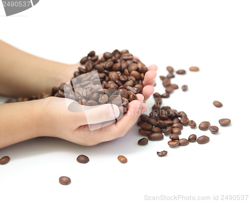 Image of coffee beans