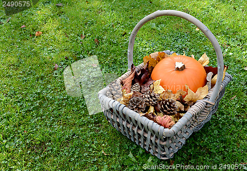 Image of Rustic basket with pumpkin, fir cones and leaves