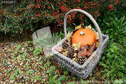 Image of Autumn basket with pumpkin, fir cones and leaves