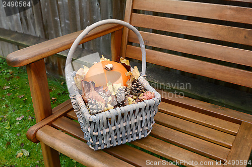 Image of Basket with pumpkin, leaves and fir cones on a bench