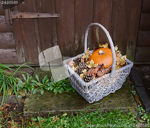 Image of Basket with pumpkin, dry leaves and fir cones on a rustic step