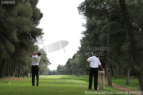 Image of Golf swing in riva dei tessali golf course, italy