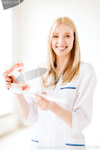 Image of doctor with toothbrush and jaws in hospital