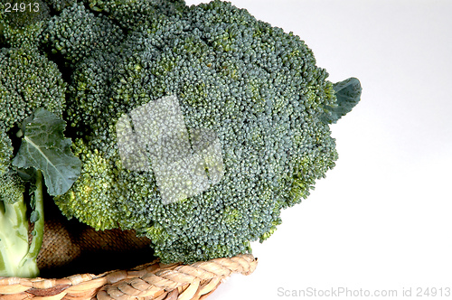 Image of broccoli