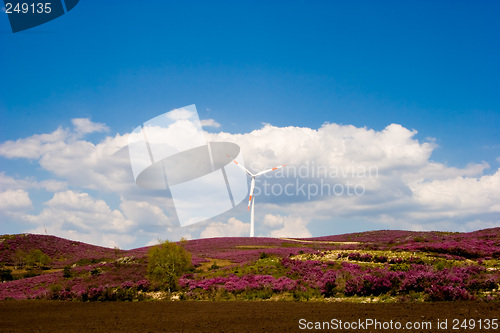 Image of Wind Turbine